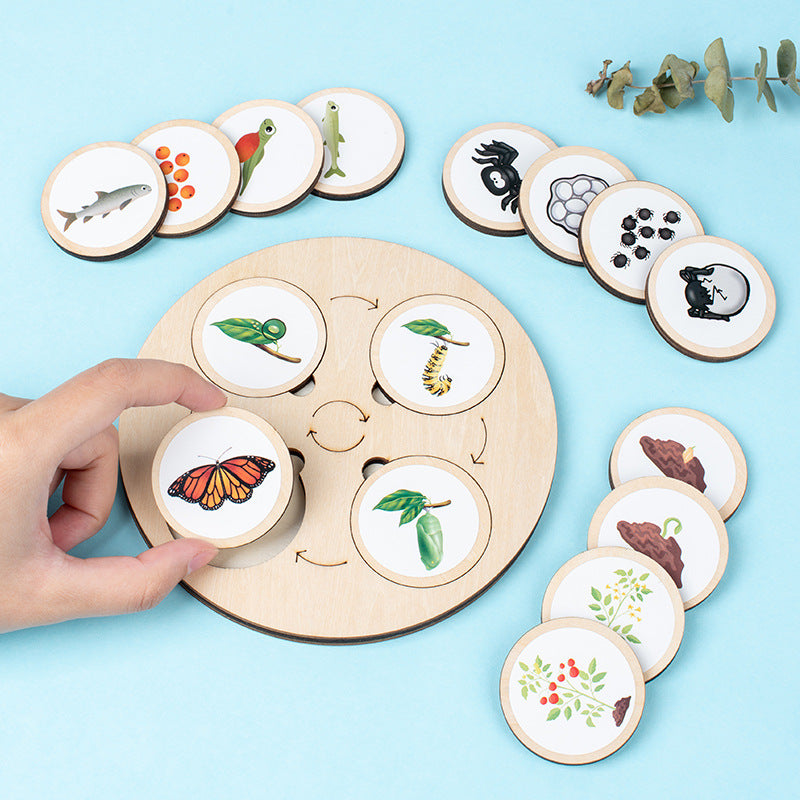 Christmas toys, gifts for children, wooden animals and plants, life cycle building blocks, puzzles, Montessori growth and evolution theory puzzle boards, cognitive toys