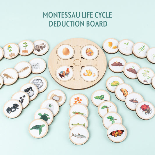 Christmas toys, gifts for children, wooden animals and plants, life cycle building blocks, puzzles, Montessori growth and evolution theory puzzle boards, cognitive toys