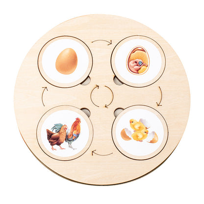 Christmas toys, gifts for children, wooden animals and plants, life cycle building blocks, puzzles, Montessori growth and evolution theory puzzle boards, cognitive toys