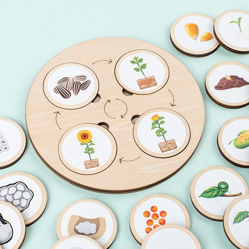 Christmas toys, gifts for children, wooden animals and plants, life cycle building blocks, puzzles, Montessori growth and evolution theory puzzle boards, cognitive toys